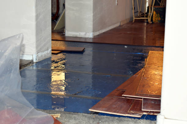 Professional Water Extraction technician working in Moriches, NY